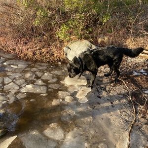 Meet your Posher, Miss